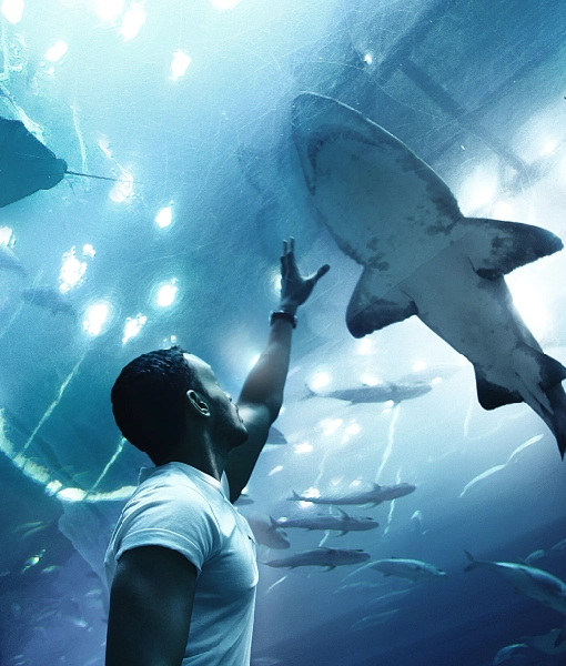 Dubai Aquarium & Underwater Zoo